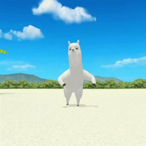Un’alpaca animata che balla