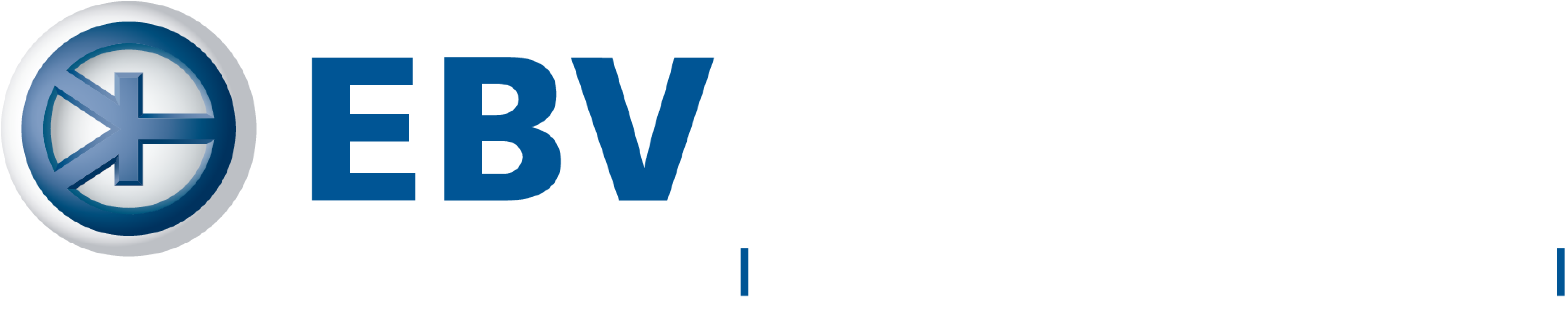 EBV Elektronik