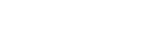 Enclustra